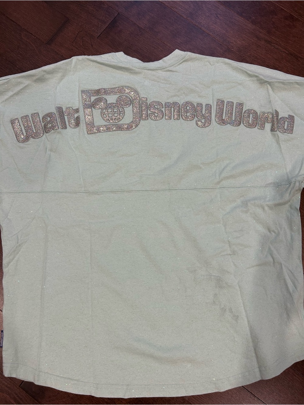 Disney Men's Glitter Walt Disney World Tee - Pale Green